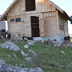 Pensionat Sportsko Rekreativni Centar Ajdinovici 4*