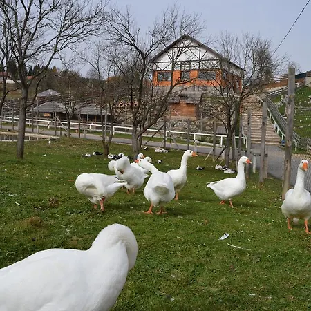 Sportsko Rekreativni Centar Ajdinovici Guest house
