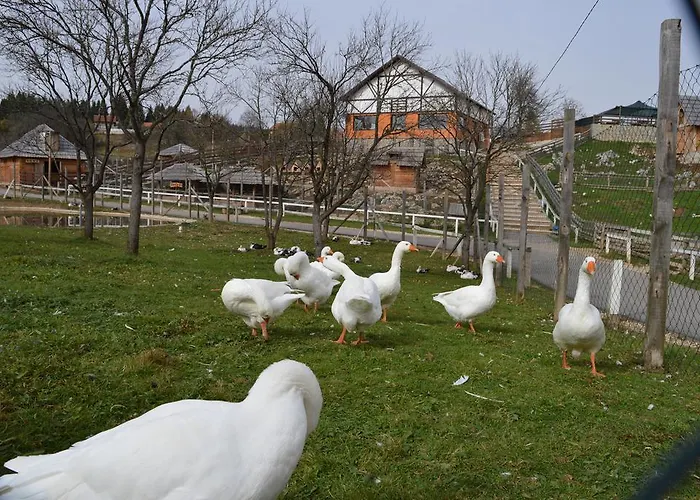 Sportsko Rekreativni Centar Ajdinovici Penzion