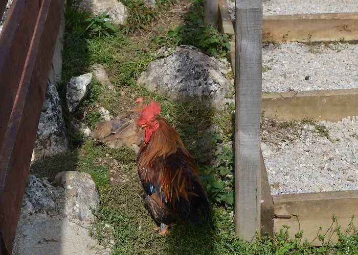 Sportsko Rekreativni Centar Ajdinovici 4*